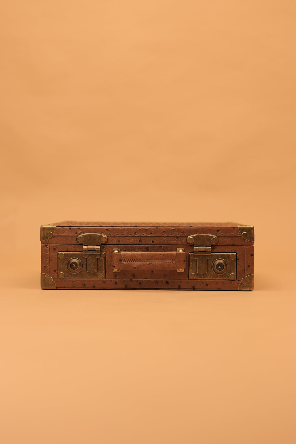 The Russet Ostrich Commander Trunk