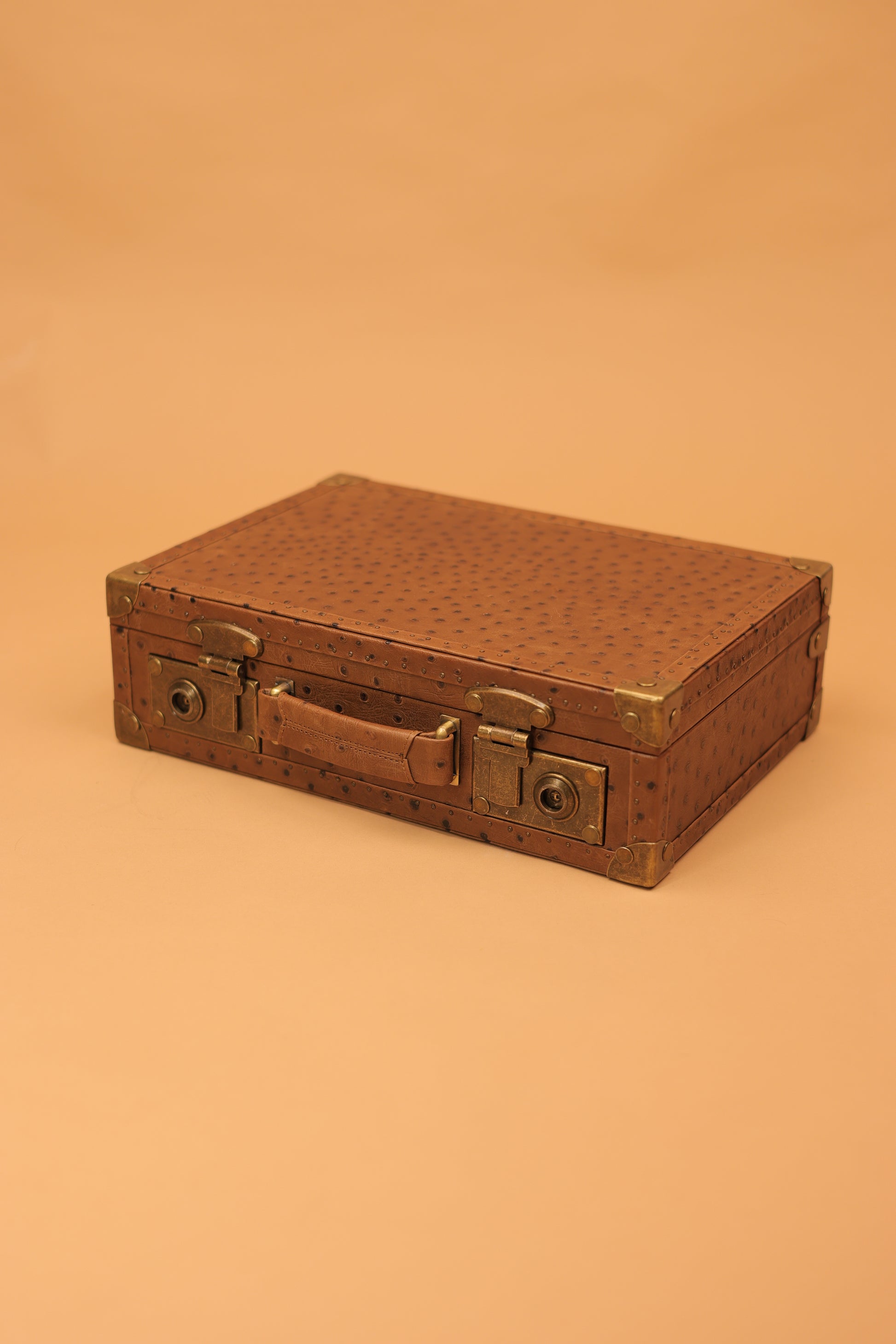 The Russet Ostrich Commander Trunk