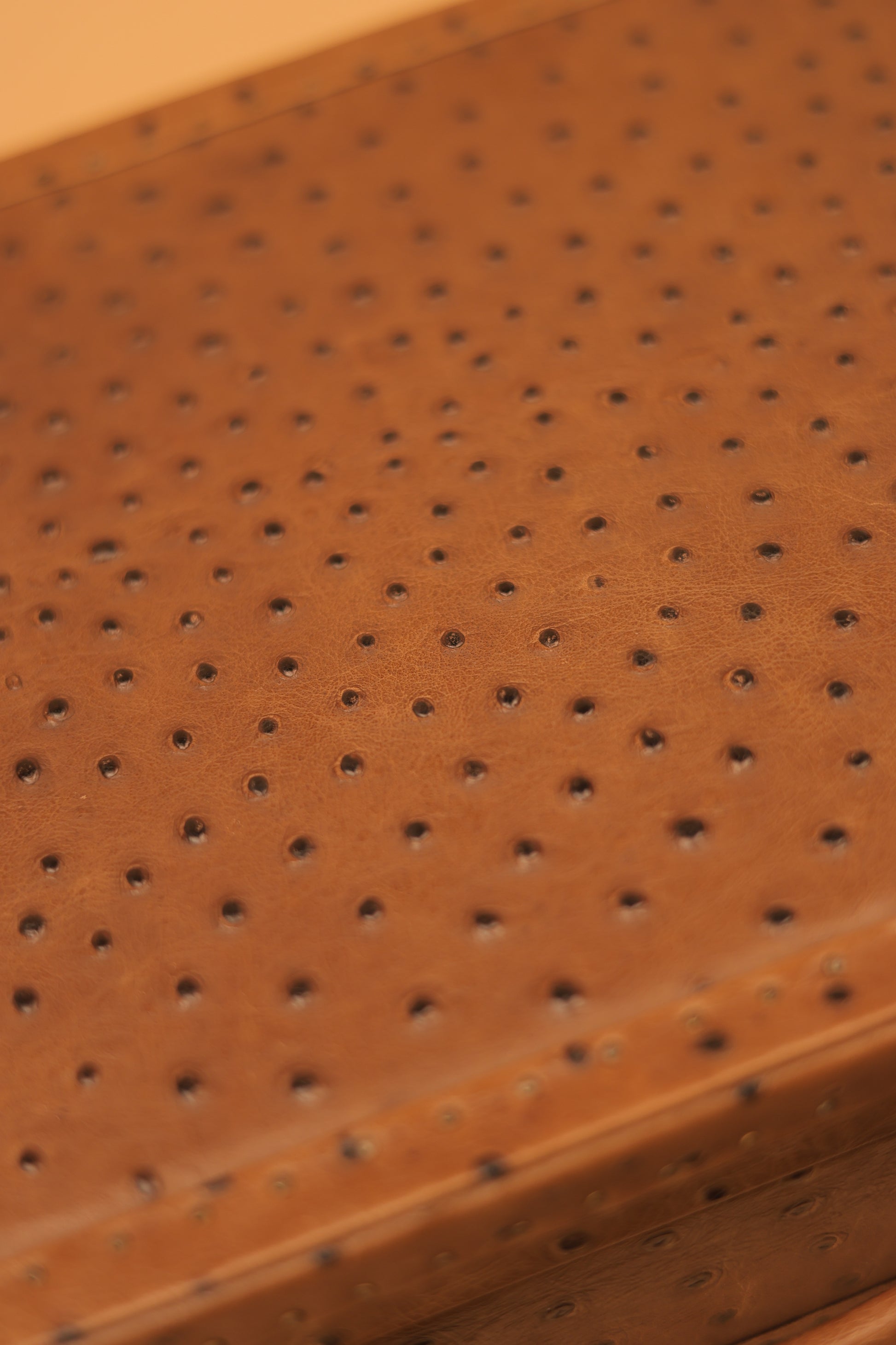 The Russet Ostrich Commander Trunk