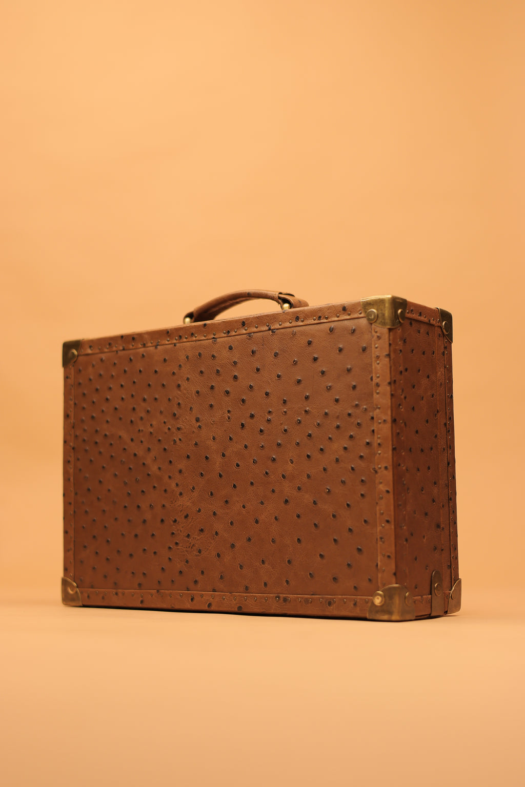 The Russet Ostrich Commander Trunk
