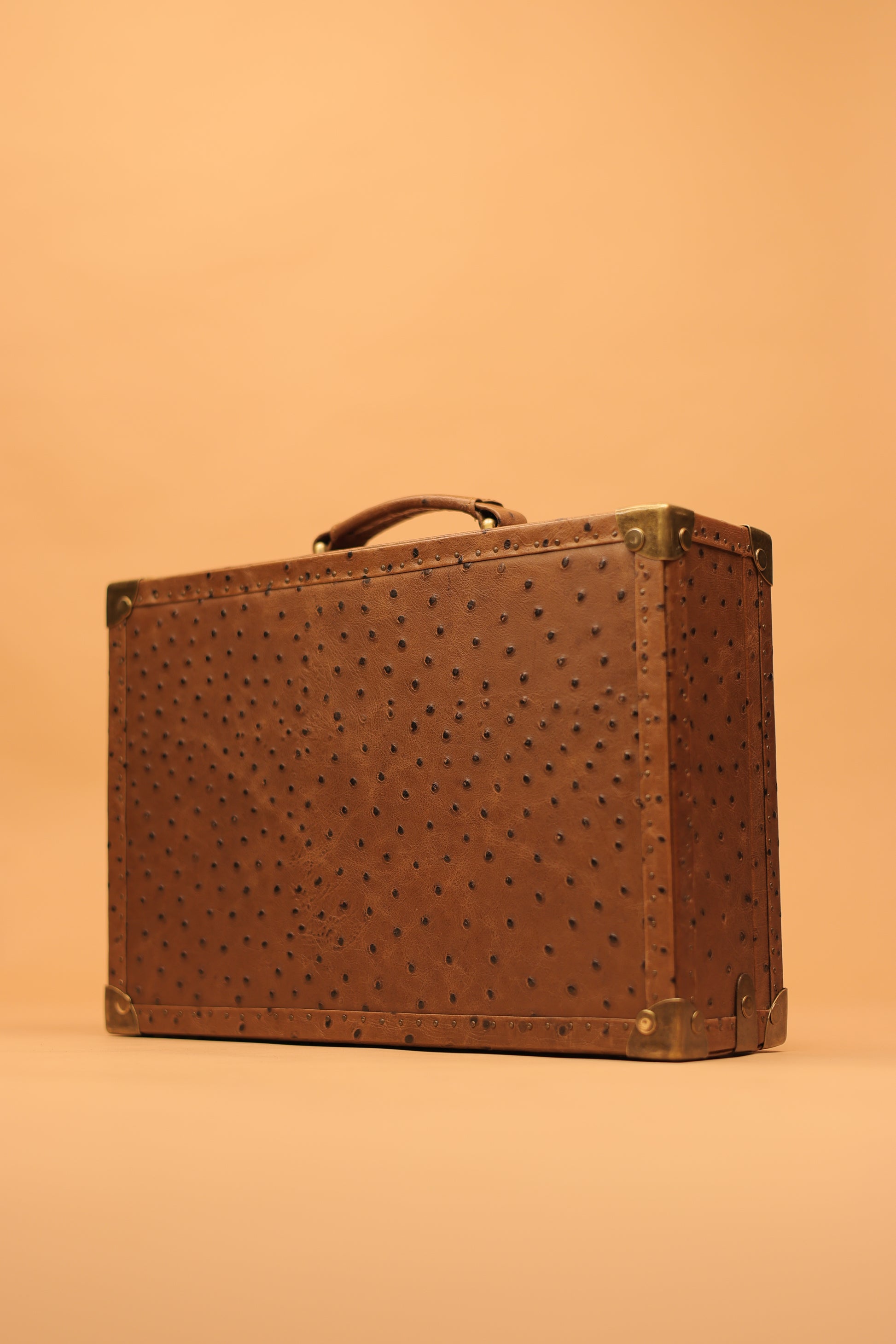 The Russet Ostrich Commander Trunk
